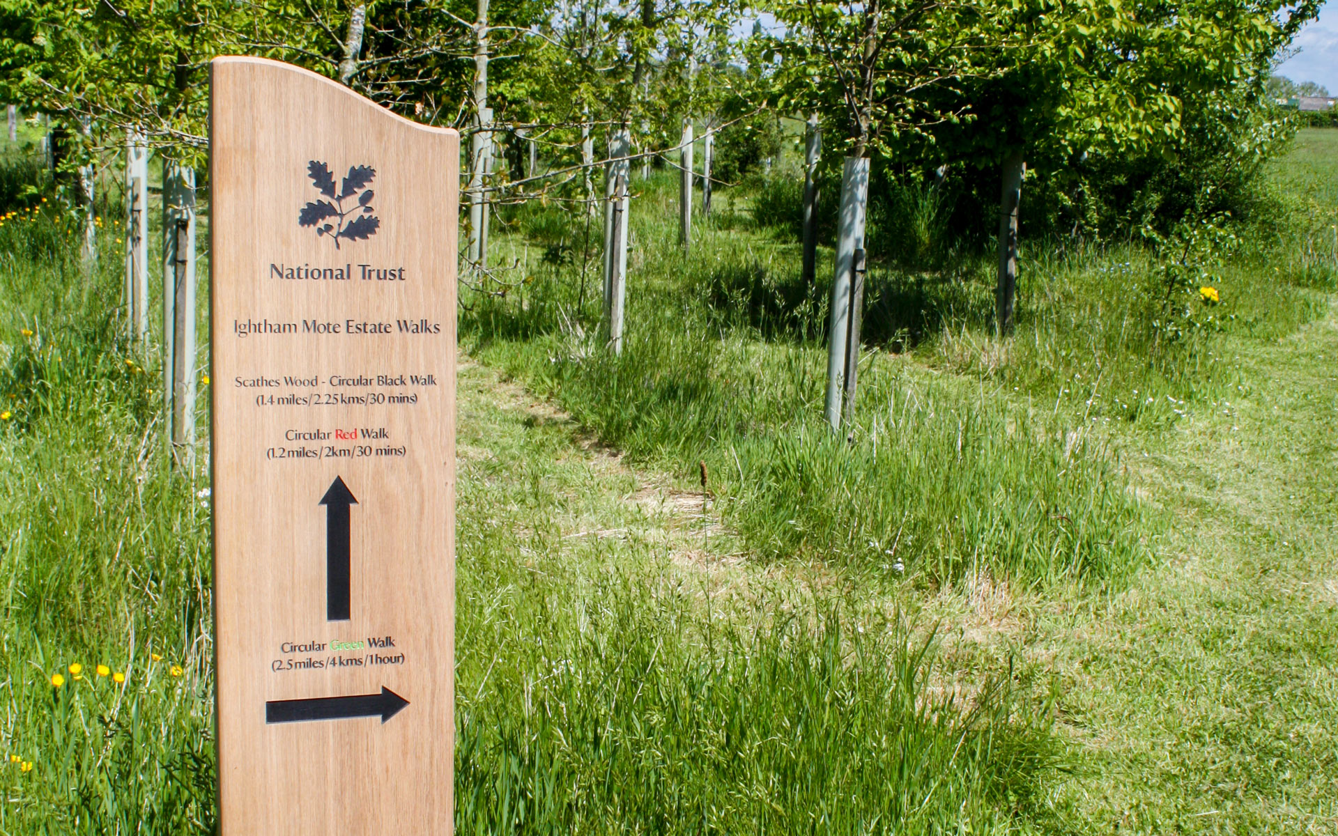 Wooden Monolith Sign Post made from English Oak with a smooth sanded, fresh sawn finish and curved top